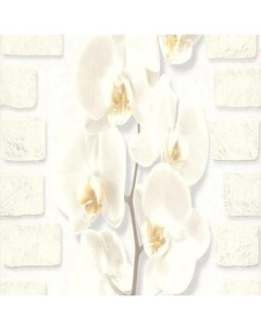 Обои виниловые орхидея белые 10 05 0 53м 10107 11 Аспект