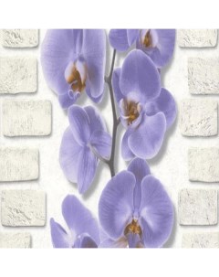 Обои виниловые орхидея фиолетовые 10 05 0 53м 10107 46 Аспект