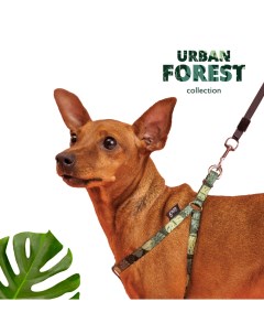 Шлейка для собак Urban Forest XS 33 46 5 см 10 мм Rurri