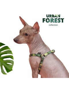 Шлейка для собак Urban Forest M 45 63 см 15 мм Rurri