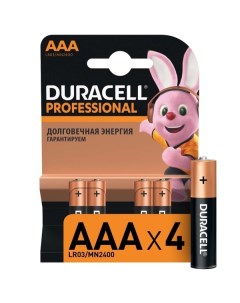 Батарея Duracell Professional AAA LR03 MN2400 4шт Professional AAA LR03 MN2400 4шт