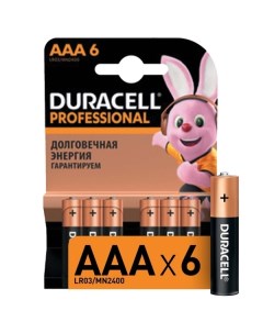 Батарея Duracell Professional AAA LR03 MN2400 6шт Professional AAA LR03 MN2400 6шт