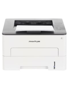 Лазерный принтер Pantum P3010D P3010D