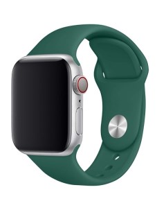 Ремешок для Apple Watch TFN для Apple Watch 42 44мм Silicone зеленая сосна для Apple Watch 42 44мм S Tfn