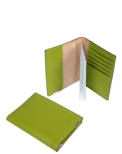 Обложка для документов цвет зеленый Fabretti