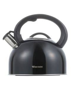 Чайник для кипячения воды Revere 2 5 л Werner