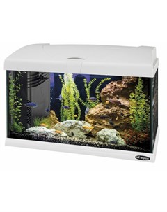 Capri 50 Led аквариум со светодиодной лампой 50 LED внутренним фильтром и нагревателем стеклянный 40 Ferplast