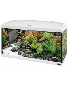 Capri 80 Led аквариум со светодиодной лампой 80 LED внутренним фильтром и нагревателем стеклянный 10 Ferplast