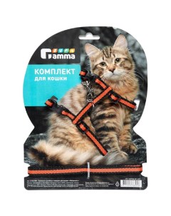 Комплект для кошек шлейка и поводок Gamma