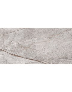 Керамогранит Stone Image Imperial Grey Carving N40016 60х120 см Neodom
