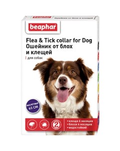 Ошейник для собак от блох фиолетовый 65см Beaphar