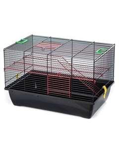 Клетка для грызунов Pigi II (Pinky II Metal) + металл.этаж и лесенка 50х33х33см (цв. прут) Inter-zoo