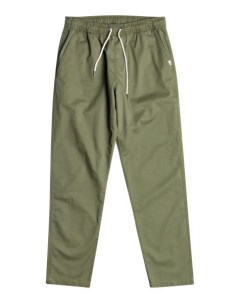Брюки Taxer Four Leaf Clover Quiksilver