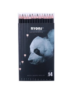 Набор карандашей чернографитных карандашей Nyoni 14 шт 4H-12B, в картоне Neva