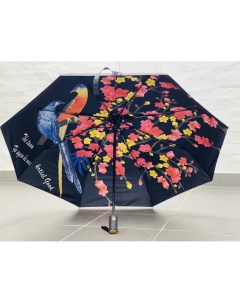 Зонт женский 555 полный автомат чёрно чёрный двухсторонний Arman umbrella