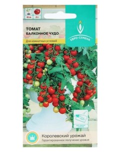 Семена томат Балконное чудо ультраскороспелый низкорослый 15 шт Евро-семена