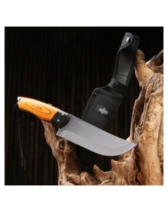 Нож охотничий Телец сталь 40х13 рукоять дерево 29 см Витязь
