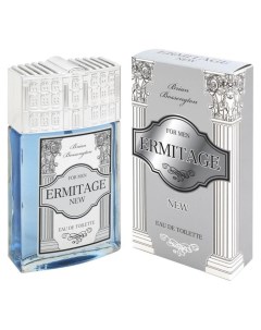 Туалетная вода мужская Ermitage New 100 мл Positive parfum
