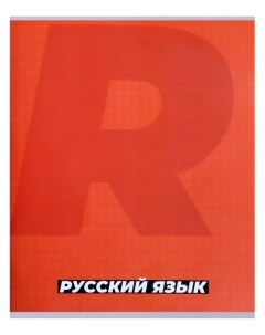 Тетрадь предметная Monotone 36 листов в линейку русский язык со справочным материалом обложка мелова Calligrata