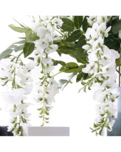 Цветы искусственные Глициния 100см цвет белый Flodecor
