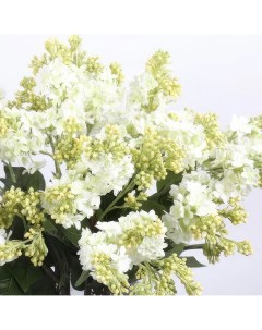 Цветы искусственные Сирень 70см цвет белый Flodecor