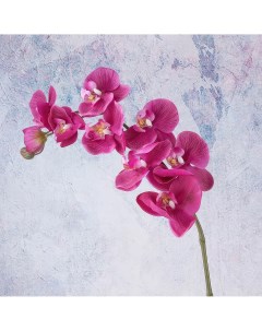 Цветы искусственные Орхидея 96см цвет темно розовый Flodecor
