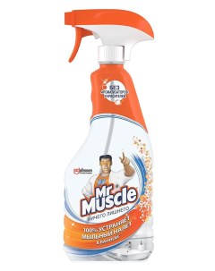 Чистящее средство для ванной комнаты Ничего лишнего 500 мл Mr muscle