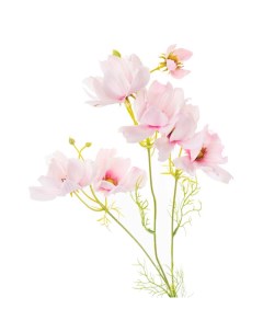 Цветы искусственные Маргаритка 57 5см цвет розовый Flodecor