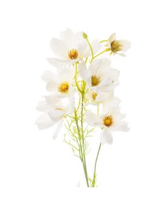 Цветы искусственные Маргаритка 57 5см цвет белый Flodecor