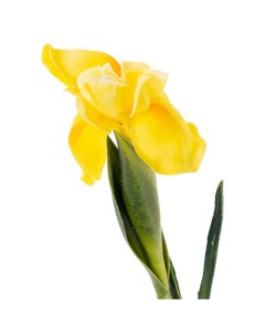 Цветы искусственные Ирис 58см желтый Flodecor