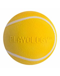 Squeaky Chew Ball игрушка для собак средних и крупных пород жевательный мяч с пищалкой с ароматом ку Playology