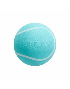 Squeaky Chew Ball игрушка для собак мелких и средних пород жевательный мяч с пищалкой с ароматом ара Playology