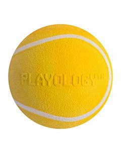 Squeaky Chew Ball игрушка для собак мелких и средних пород жевательный мяч с пищалкой с ароматом кур Playology
