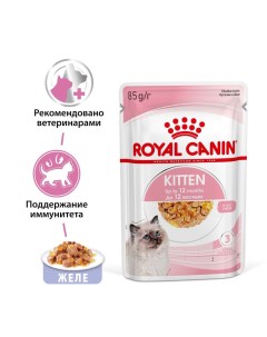 Корм для котят Kitten Instinctive от 4 до 12 месяцев в желе конс 85г Royal canin