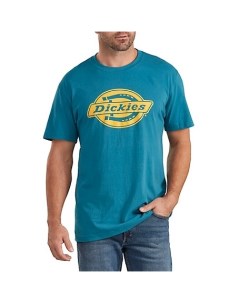 Футболка Relaxed Fit Graphic Tee Teal 2023 Dickies