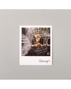 Открытка "Самсон. Фото" Подписные издания