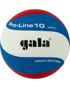 Мяч волейбольный Pro Line 10 BV5821SA р 5 Gala