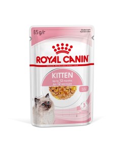 Kitten влажный корм для котят от 4 до 12 месяцев кусочки в желе 85 г Royal canin