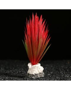 Растение искусственное аквариумное на подставке с ракушкой 7 х 4 5 х 13 5 см красное Пижон аква