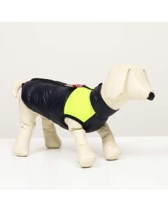 Куртка для собак на молнии размер 8 дс 23 см ог 30 ош 22 см синяя с желтым Nobrand