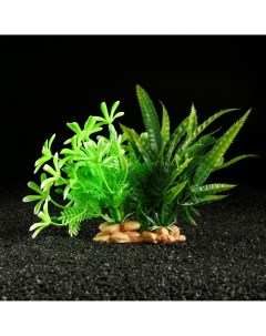 Растение искусственное аквариумное 26 х 17 х 16 см Пижон аква