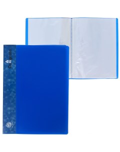 Папка с 60 вкладышами а4 500 мкм карман на корешке синяя Calligrata