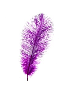 Перо для декора размер 25 30 см цвет фиолетовый Nobrand