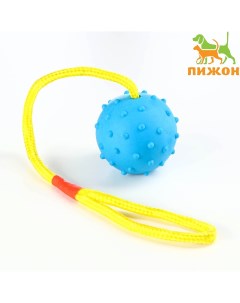 Игрушка мяч на веревке 6 см синяя Пижон