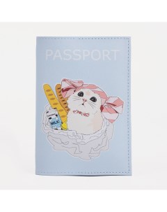 Обложка для паспорта цвет голубой Nobrand