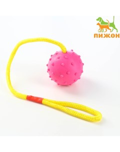 Игрушка мяч на веревке 6 см розовая Пижон