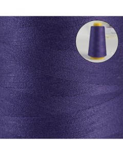 Нитки 40 2 3000 ярд цвет фиолетовый Арт узор