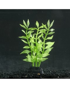 Растение силиконовое аквариумное светящееся в темноте 8 х 15 см зеленое Nobrand
