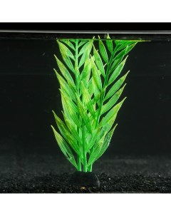 Растение силиконовое аквариумное светящееся в темноте 8 х 24 см зеленое Nobrand