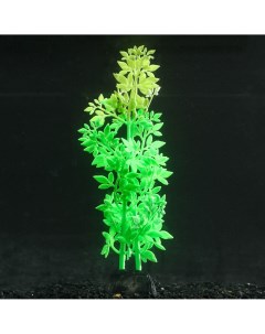 Растение силиконовое аквариумное светящееся в темноте 6 5 х 19 см зеленое Nobrand